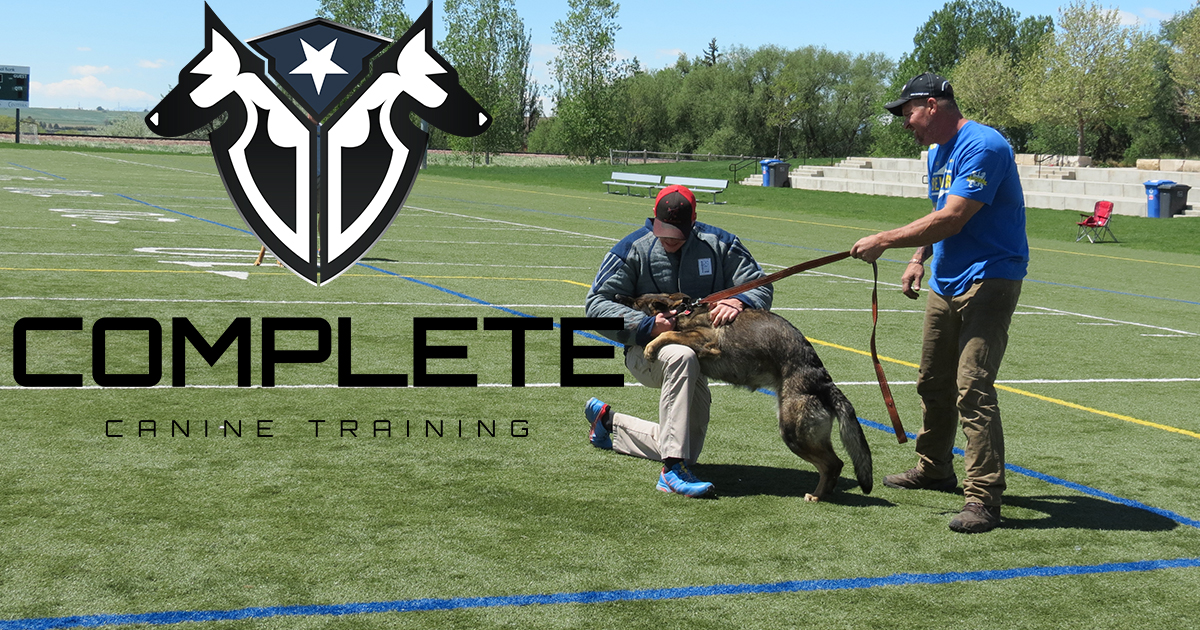 K9 Handler Protection Course Protection Dog Training Complete