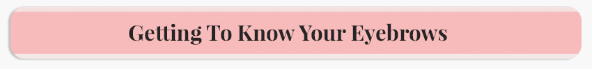 Getting to Know Your Eyebrows