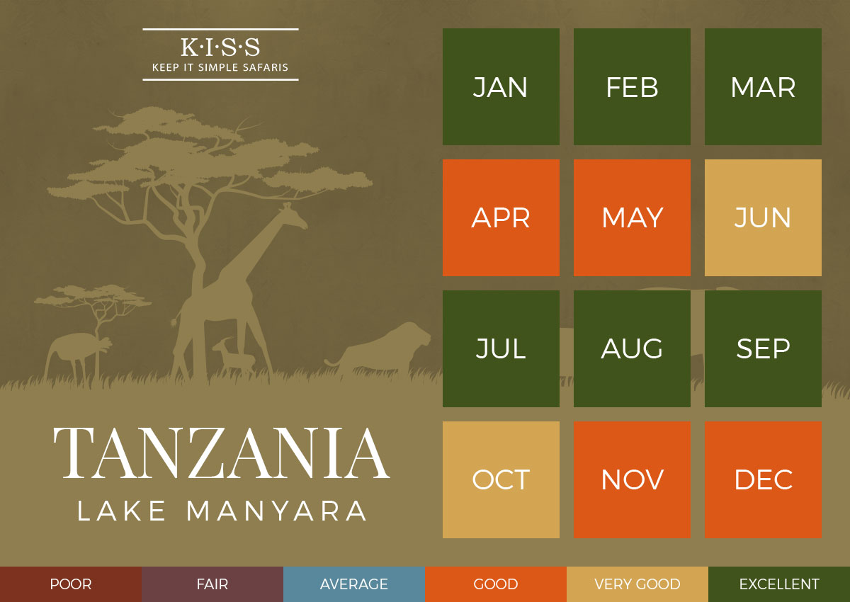 Safari Experience Best Safari Months Kiss Safaris