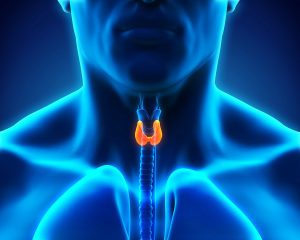 Elderly Care in Colts Neck NJ: Stages of Thyroid Cancer