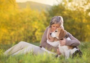 Home Care in Keyport NJ: Warm Weather Safety Tips for Your Mom’s Pet
