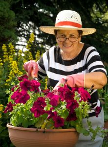 Caregiver in Holmdel Township NJ: Benefits of Container Gardening