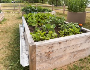 Senior Care in Manalapan Township NJ: Tips for Easier Gardening