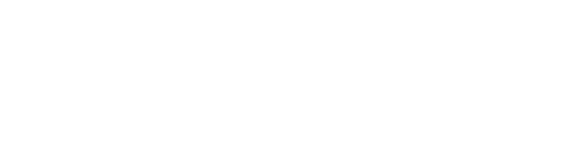 Laurel Insurance Partners