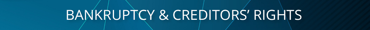 Bankruptcy & Creditors' Rights