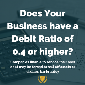 Does Your Business have a Debit Ratio of .04 or higher?