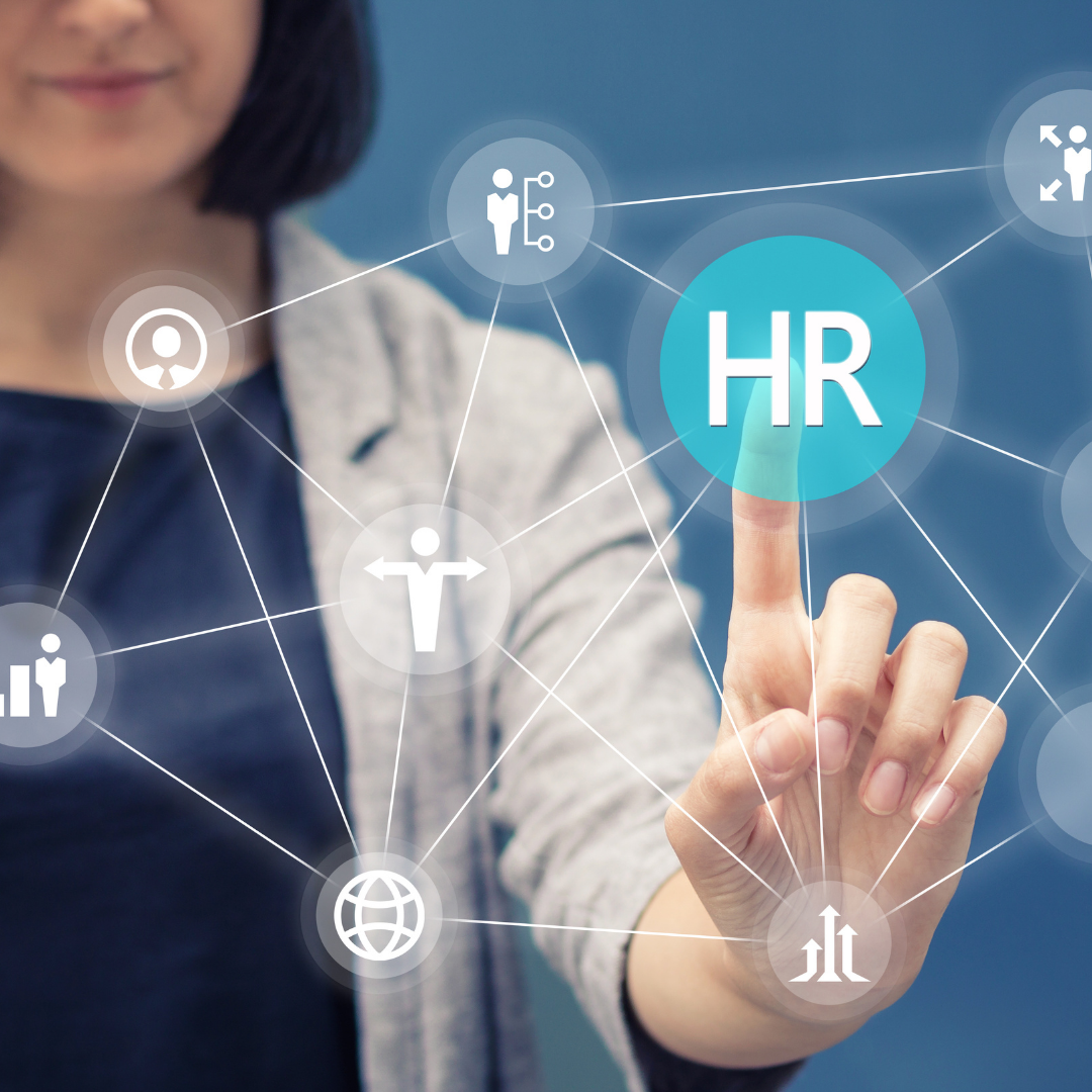 What Is The Work Of Hr Consultant