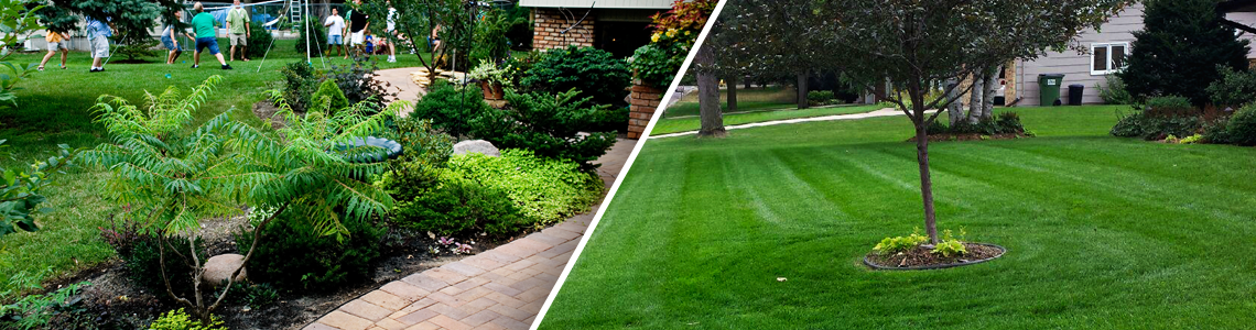 landscape maintenance services