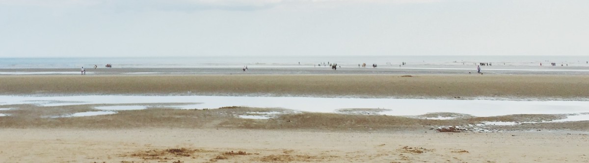 shoreline in the daytime