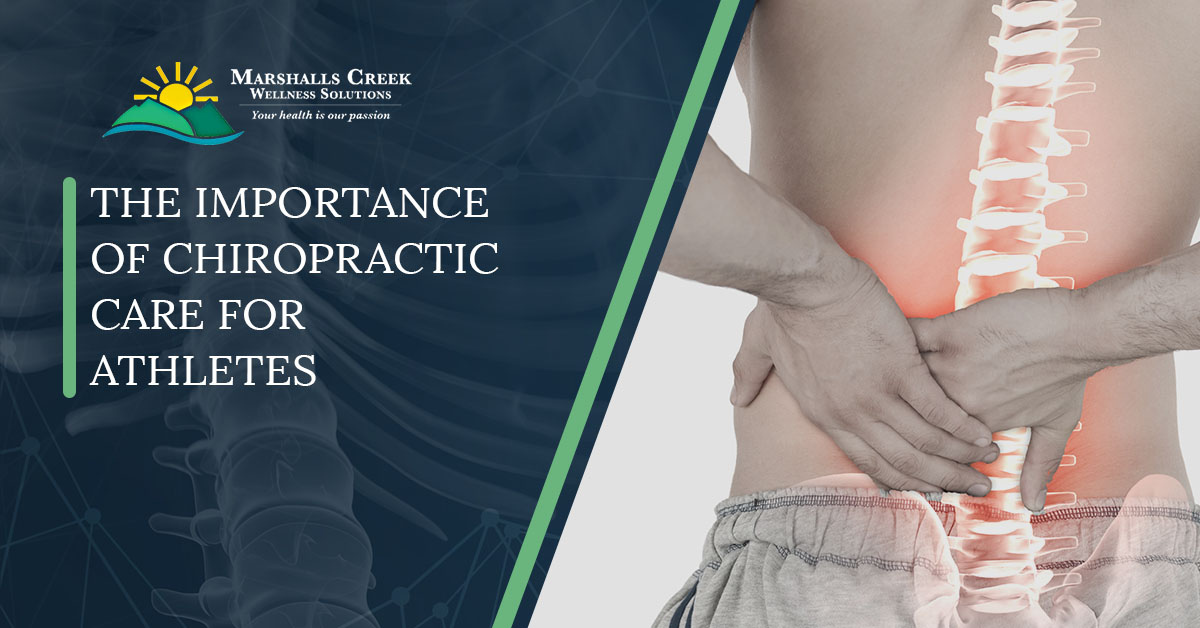 Chiropractor East Stroudsburg How Chiropractic Care Can