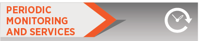Periodic Monitoring and Services