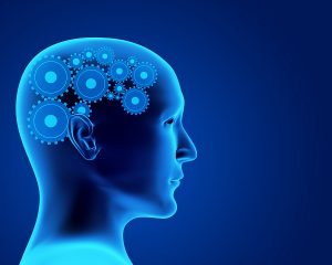 Identifying Your Disability Under The Listing Of Impairments: Mental Disorders - Part 3: The Categories Of Mental Disorder Explained