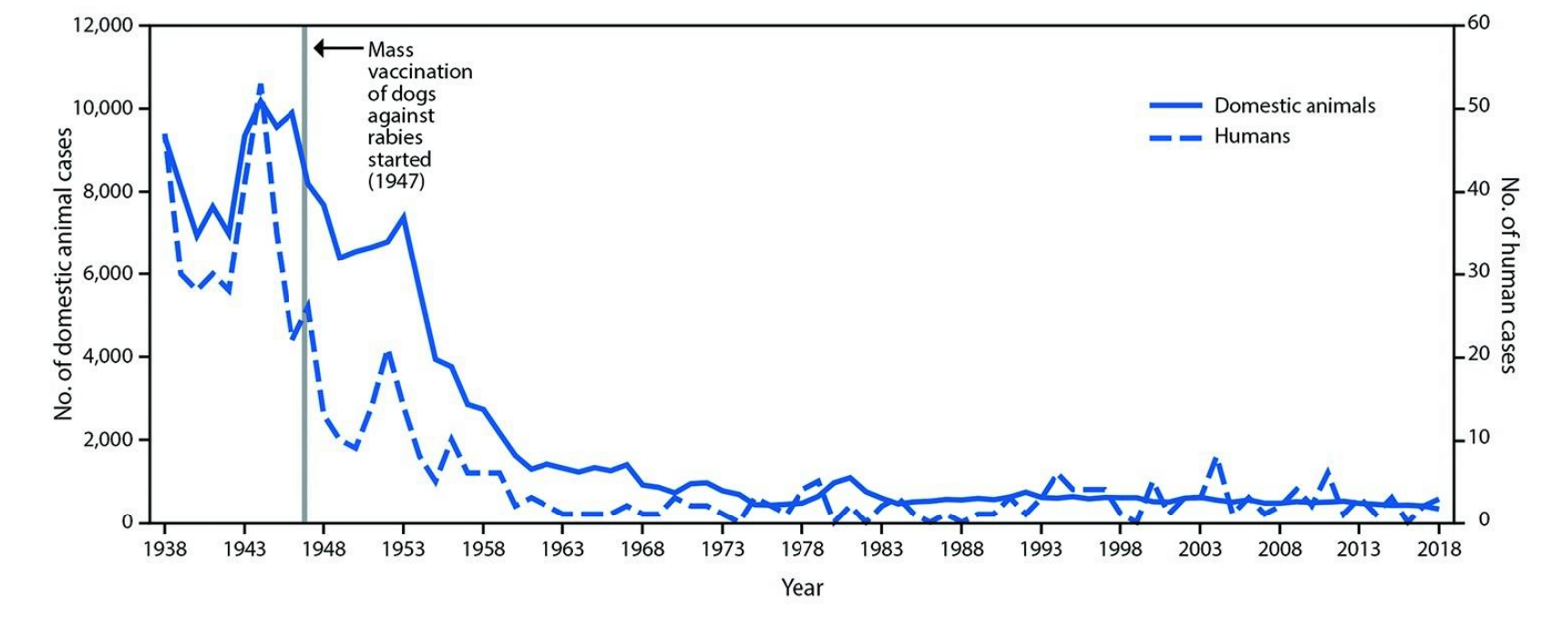 how many dogs are abused each year in the united states