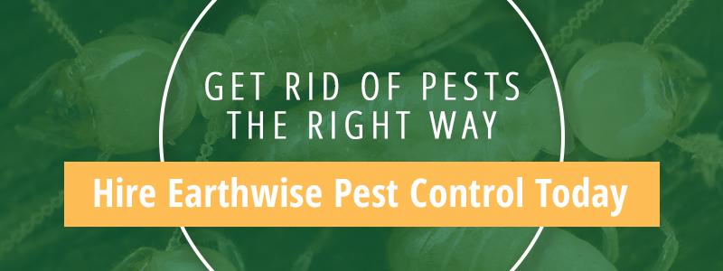 earthwise pest control