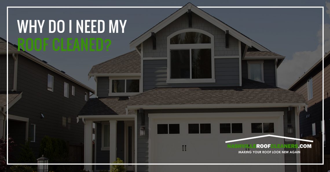 Why you should Clean your roof