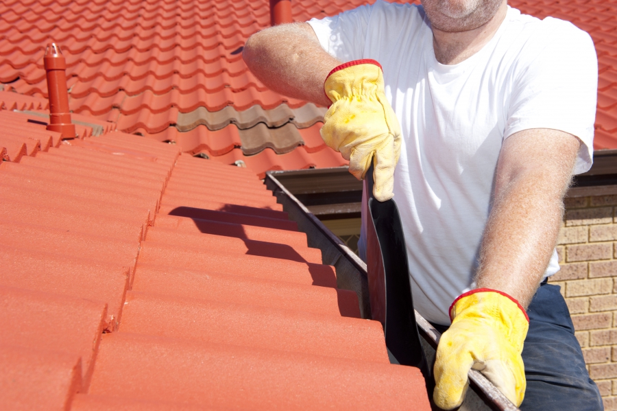 Professional Roof Cleaners