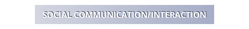 Social Communication/Interaction