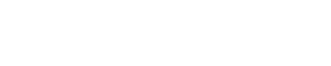Next Level Automotive
