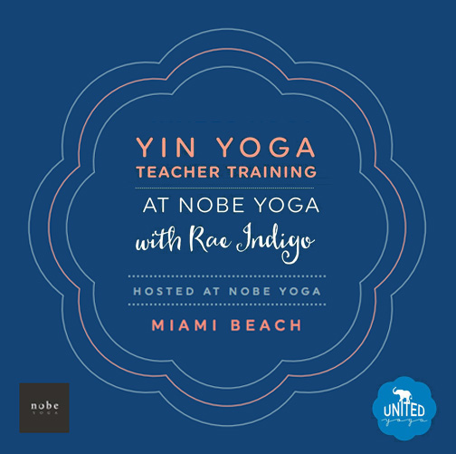yin yoga teacher training