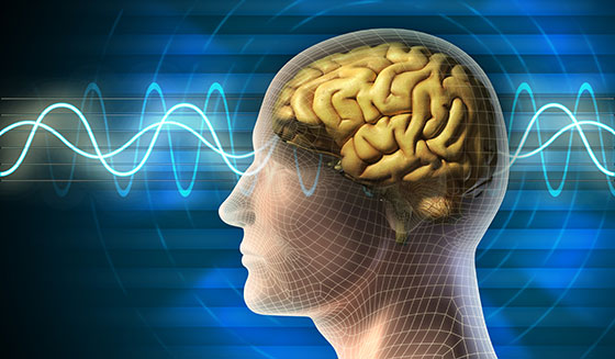 neuromodulationpic1-new
