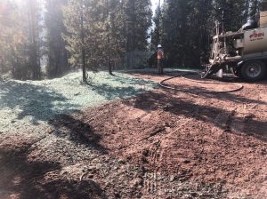 Worker hydroseeding soil surrounded by trees