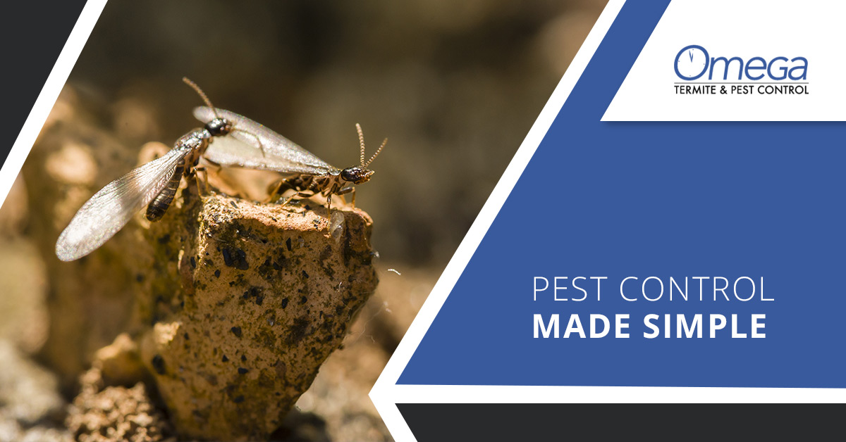 Nashville Pest Control An Unbeatable Guarantee Keeps You Covered