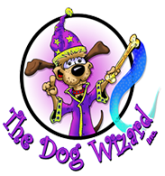 The Dog Wizard