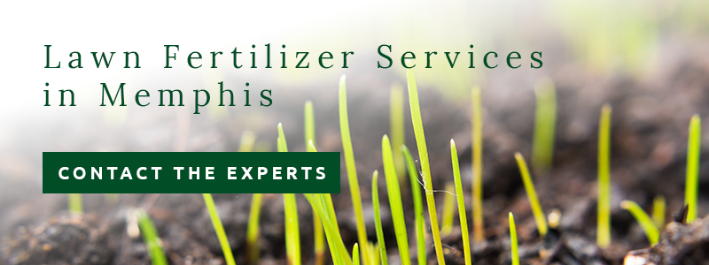 lawn fertilizer services in Memphis from Personal Lawn Care