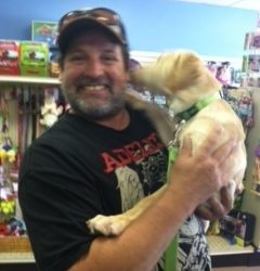 pet city fort collins colorado pet city fort collins colorado