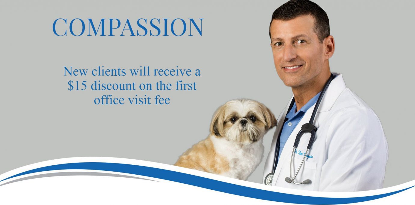 Veterinarian Boca Raton Vet FL Veterinary Medical Center 33434