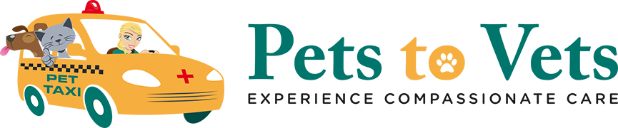 Pet Taxi