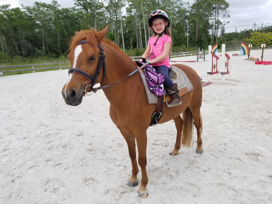 Horseback Riding Lessons Lake Worth Horseback Riding Lessons Near Me