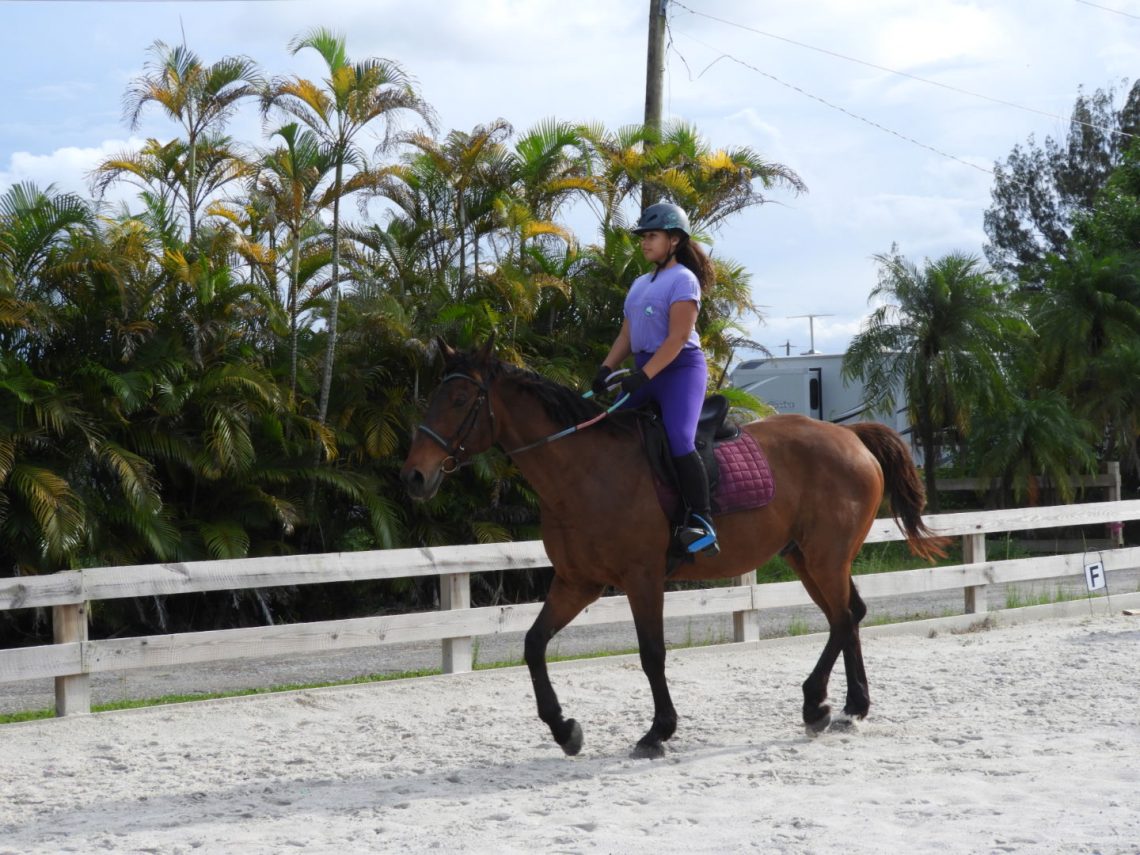 Horseback Riding Lessons Lake Worth Horseback Riding Lessons Near Me