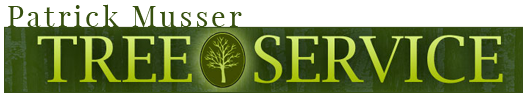 Patrick Musser Tree Service