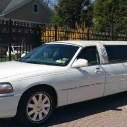 10 passenger stretch limo