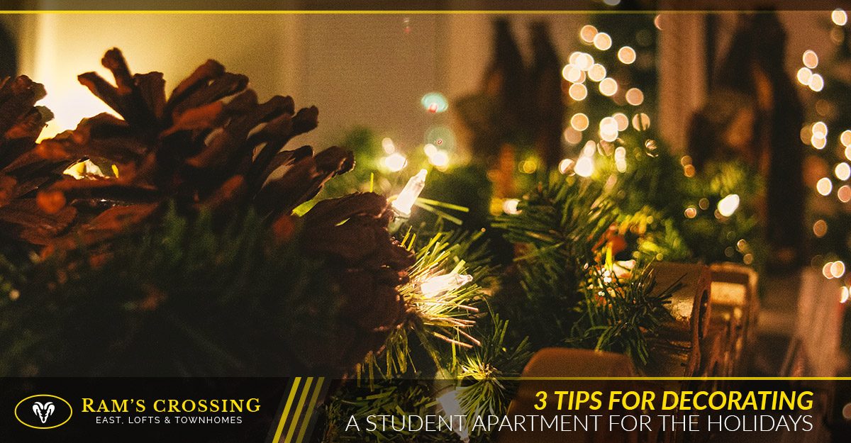 Apartments For Rent Fort Collins 3 Tips For Decorating A Student
