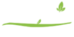 Revive Health Centre