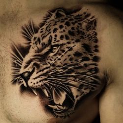 Black and gray realism tattoo. Portrait of a jaguar on the left pectoral..