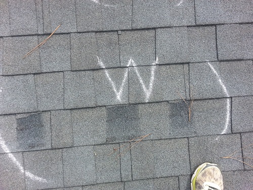 Wind Damage
