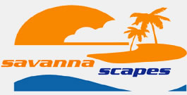 Savanna Scapes