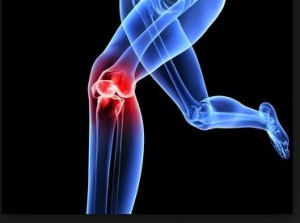 physical therapy loveland