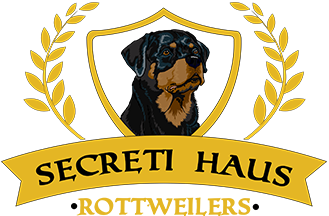 Secreti Haus Rottweilers