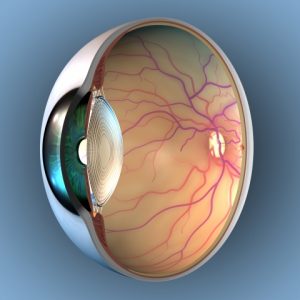 Digital Retinal Photography - Manage Your Vision In Fresno