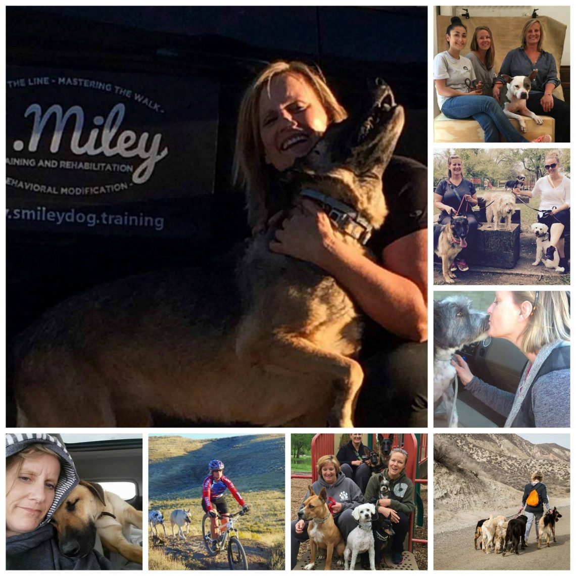 Dog Rehabilitation Fort Collins Dog Trainer CO Obedience Training