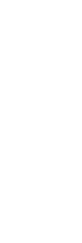 Soaring Dance Theatre