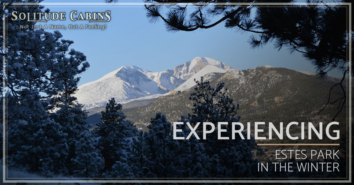 Estes Park Vacation Rentals Winter Rentals