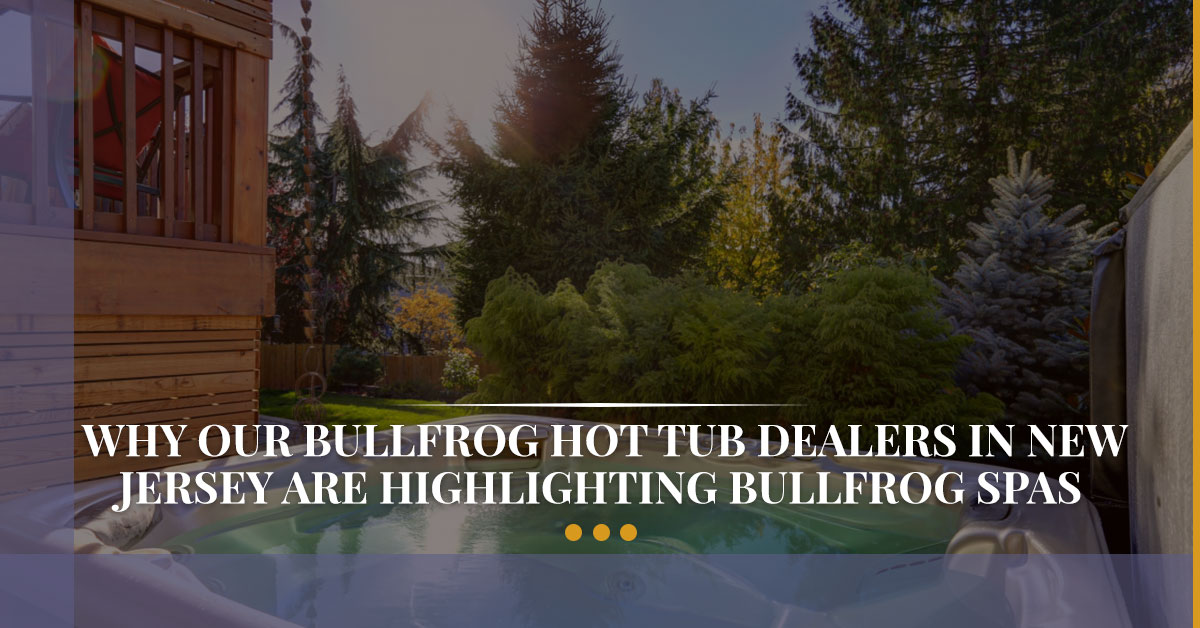 Bullfrog Home Spa Dealer Maple Shade Why Bullfrog Home Spas