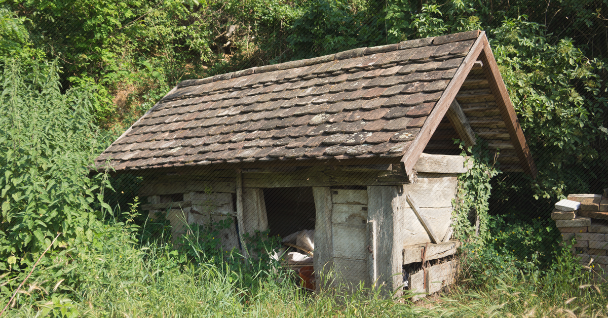 shed-demo