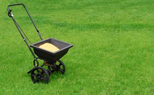 lawn fertilizer Whitinsville