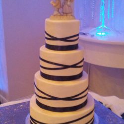 Wedding Cake | Specialty Cakes | Arlington TX | Specialty Wedding Cakes in DFW, North Dallas Texas Wedding Cakes